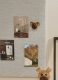 2081-FSC_magnetic-happy_4_copyright_spring-copenhagen_213ee622-f0fd-44a3-8ca4-a843692f4f67