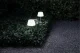 571372_eva_solo_sunlight_garden_spide