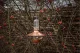 571013_bird_feeder_deluxe_copper_p_b2b2023